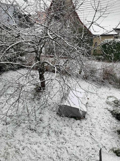 Gite Cosy Pour 2 A 4 Personnes, Village Proche Mulhouse Burnhaupt-le-Bas Bagian luar foto