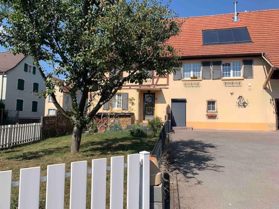 Gite Cosy Pour 2 A 4 Personnes, Village Proche Mulhouse Burnhaupt-le-Bas Bagian luar foto